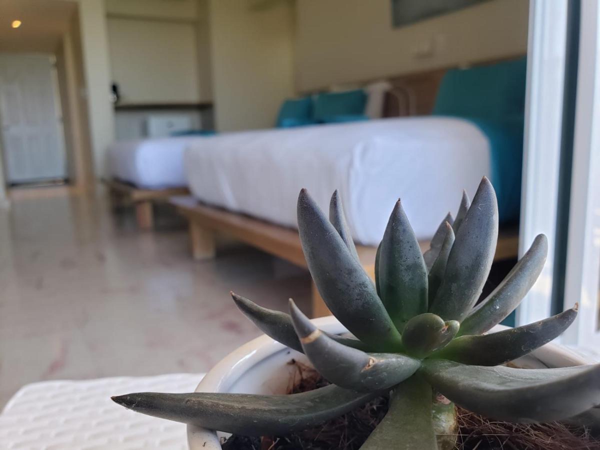 Paradise Island Beach Resort Punta Rucia Bagian luar foto